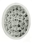 Class of 1871, Indiana University School of Law