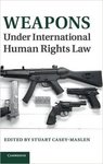 Cyberattacks and International Human Rights Law by David P. Fidler